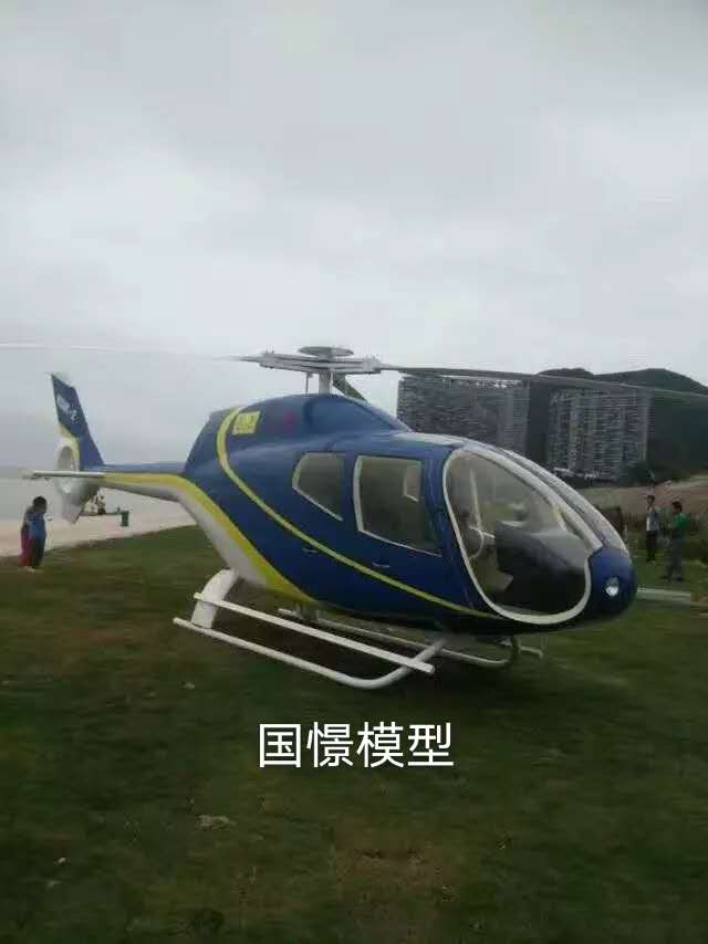 东平县飞机模型