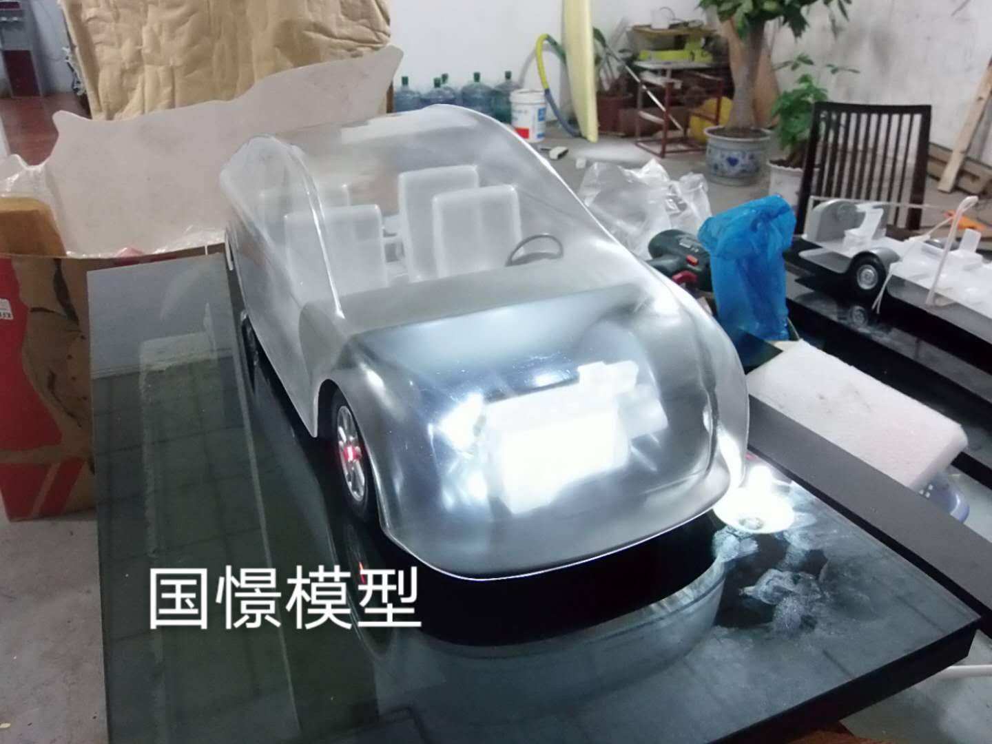 东平县透明车模型